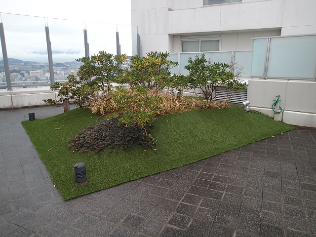 アイランドタワー